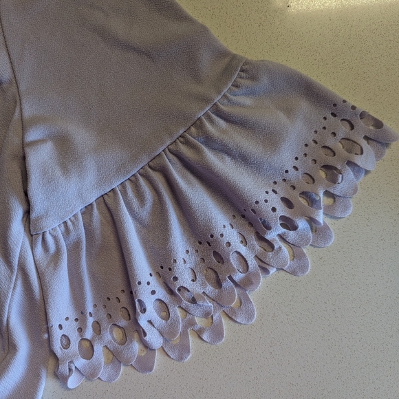 Banana Republic Lilac Eyelet Sleeve Blouse - Picture 5 of 5